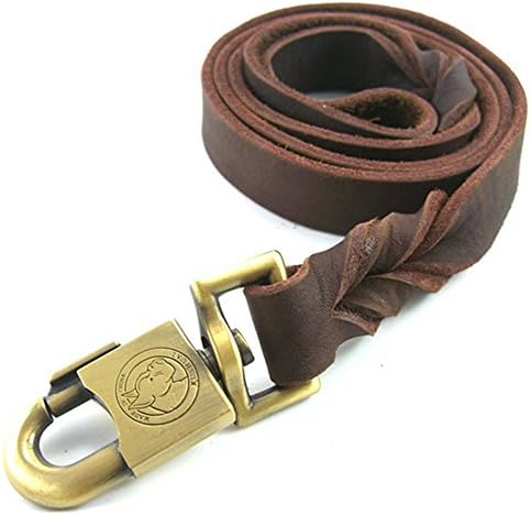 CHEDE- Best for Medium and Large Dogs - Heavy Duty Leather Dog Training Leash Dark Brown5 Foot x 1 Inch Lead with Package Box