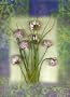 Fines Herbes I Poster Print