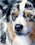 Australian Shepherd Dog Art Print Signed by Artist DJ Rogers