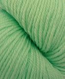 Lorna's Laces Sock Yarn in Mint (25ns)