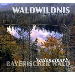 Waldwildnis grenzenlos