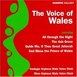 The Voice of Wales