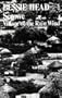 Serowe: Village of the Rain-Wind (African Writers Series)