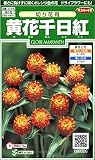 サカタのタネ 実咲花6494 黄花千日紅 切り花用 00906494 10袋セット