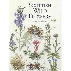 Scottish Wild Flowers