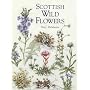 Scottish Wild Flowers