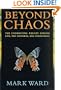Beyond Chaos: The Underlying Theory Behind Life, the Universe, and Everything