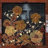Revue Busdriver  / Fear of a Black Tangent