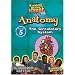 Standard Deviants School - Anatomy, Program 5 - The Circulatory System (Classroom Edition)