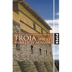TROIA: Wie es wirklich aussah