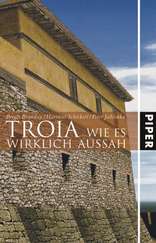 Produkt-Bild: TROIA: Wie es wirklich aussah