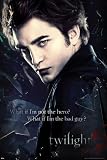 What if Im the Bad Guy? Twilight Movie 61x91.5cm Poster