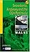 Snowdonia, Anglesey and the Llyn Peninsula: Walks (Pathfinder Guide)