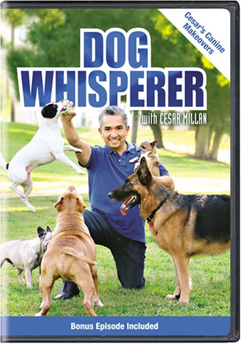 Dog Whisperer with Cesar Millan: Cesar's Canine Makeovers
