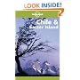 Chile and Easter Island (Lonely Planet Travel Guides)