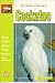 The Guide to Owning a Cockatoo