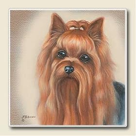 Yorkie, Set of 4 Absorbent Ceramic Coasters by Highland Graphics Creative Ventures