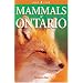 Mammals of Ontario
