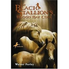 Black Stallion's Blood Bay Colt (Black Stallion (Paperback))