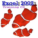 Excel 2003 Training Course