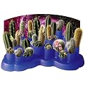 Odd Pods Cactus Planter