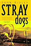 Stray dogs