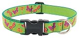 Lupine Adjustable Collars Large 1 in. x 15 in. - 25 in. - Meadow