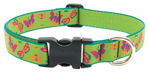 Lupine Adjustable Collars Large 1 in. x 15 in. - 25 in. - Meadow