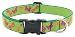 Pet Supplies : Meadow - Lupine Adjustable Collars Large 1 in. x 15 in. - 25 in.