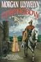 Strongbow: The Story of Richard and Aoife : A Biographical Novel