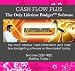 Cash Flow Plus The Only Lifetime Budget Software