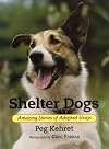 Shelter Dogs