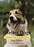 Shelter Dogs