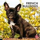 French Bulldogs 2012 Square 12X12 Wall Calendar (Multilingual Edition)