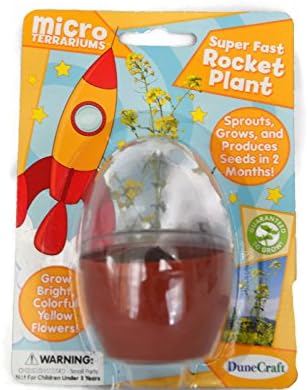 Dune Craft Micro Terrariums Plant Kits Bundle~ 3 Kits As Pictured