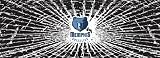 Memphis Grizzlies Shattered Auto Rear Window Decal