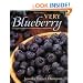 Very Blueberry
