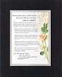 Personalized Touching and Heartfelt Poem for Mothers - What Is a Mother? Poem on 11 x 14 inches Double Beveled Matting