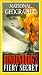 VHS : National Geographic's Hindenburg's Fiery Secret