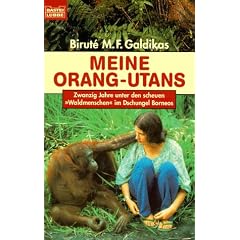 Meine Orang- Utans.