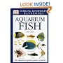 Aquarium Fish (DK Handbooks)