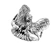 Sterling Silver Ring - Eagle - Size: 8-12
