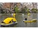 People enjoying boat ride on a pond with cherry blossom in foreground - 10x8 Print (25x20cm) by Robert Harding