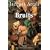 Bruits