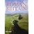 Roman Britain: A New History