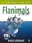 Flanimals of the Deep