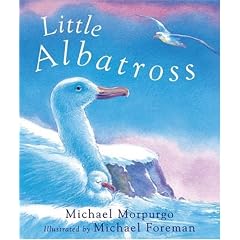 Little Albatross