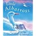 Little Albatross
