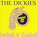 Greatest Hits Live: Locked & Loaded von the Dickies - alle Infos