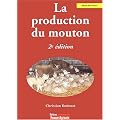 La production du mouton